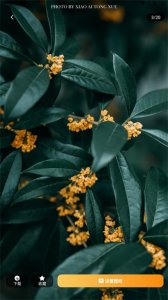 炫动次元壁纸图片 v1.0.1 手机版