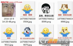 蓝瘦香菇原版表情包