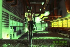 猫女单机游戏(Catwoman)