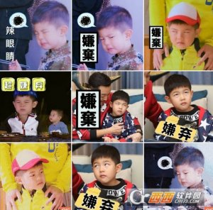 安吉嫌弃脸表情包