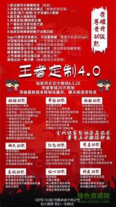 王者定制软件 v1.0 Android