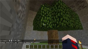 我的世界只有石头的世界整理包