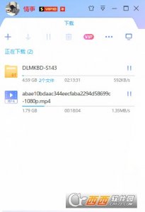 迅雷x去广告绿色