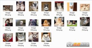 愤怒的喵星人表情包