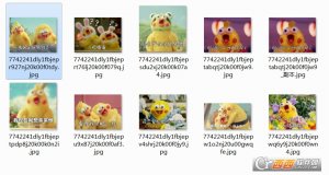 docomo鹦鹉兄弟表情包