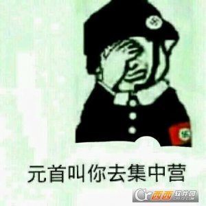 我亲爱的达瓦里希表情包