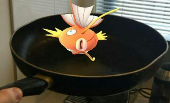 Pokemon go试玩视频和图集 Pokemon go操作视频和图集介绍